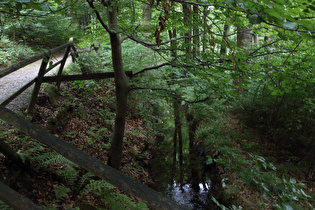 Graben zum Radau-Wasserfall, Blick grabenaufwärts …