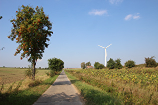 Agrarsteppe zwischen Salzderhelden und Wellersen, Blick nach Nordwesten, …