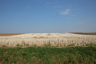 etwas weiter, Blick nach Norden