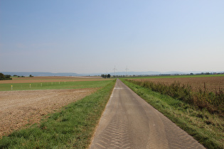 zwischen Salzderhelden und Wellersen, Blick Richtung Harz