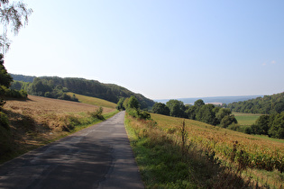 zwischen Krimmensen und Dassel, Blick Richtung Solling