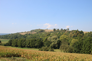 Blick vom Ellenser Wald auf den Bierberg