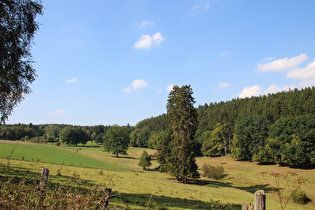 die Seutebornwiese mit der Bremke