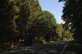 Erholungsheimstraße, oberhalb des Erholungsheims, Blick bergab