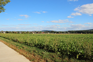 … und Blick über Wennigsen zum Vörier Berg