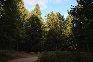 Bierweg, Blick bergab auf die untere Kehre