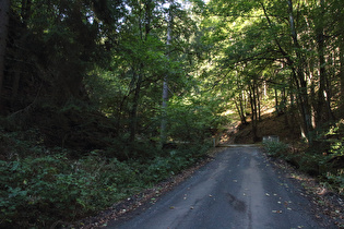 Zillierbachtal, Engstelle mit Brücke