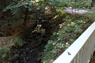 der Zillierbach, Blick flussaufwärts …