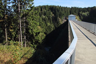 Zillierbachtalsperre, Staumauer, Talseite