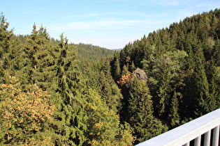 das Zillierbachtal unterhalb der Staumauer