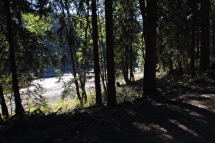 der Zillierbach im Bereich des Zillierbachstausees