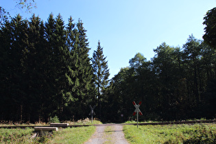 Weg aus dem Zillierbachtal heraus bei Drei Annen Hohne