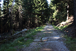 Bahnparallelweg, schlechter Belag