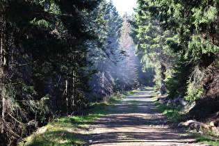 … stellt 'ne Miefwolke in den Wald