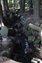 ein Bach, Blick flussaufwärts …