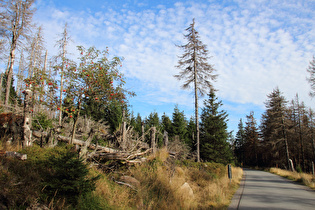 … Blick nach Süden …