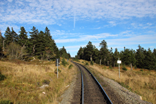 die Brockenstraße auf knapp über 1000 m ü.NHN, Blick nach Osten