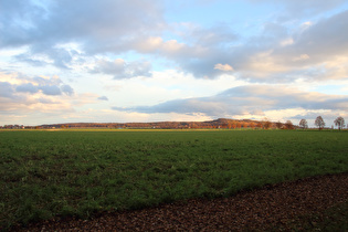 südlich des Großen Holzes, Blick zum Benther Berg