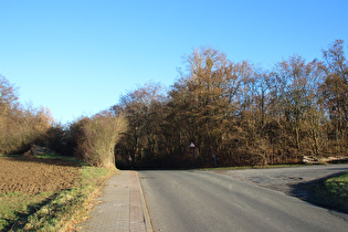 Gehrdener Berg: Große Bergstraße, höchster Punkt …