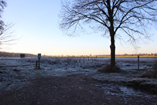 Frost am Nordrand des Großen Holzes