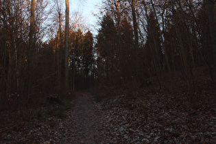 Benther Berg, Weg vom Westhang zum Kamm