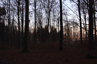 Blick vom Benther Berg über Benthe nach Osten