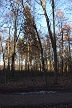 Benther Berg, Nordhang, Blick nach Norden