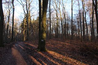 der nördlichste, sehr unscheinbare Gipfel des Benther Berges