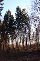 Blick vom Benther Berg nach Südosten