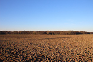 westlich von Northen, Blick auf das Große Holz