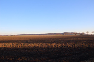 Großes Holz, Südrand, Blick zum Benther Berg