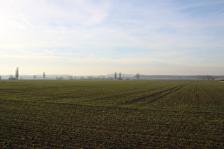 Blick vom Südrand von Northen zum Stemmer Berg …