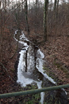 Kirchwehrener Landwehr, Blick flussabwärts