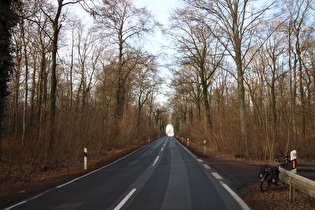 Großes Holz nördlich der Kirchwehrener Landwehr