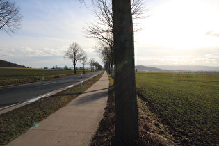 … und auf Gehrdener Berg und Deister