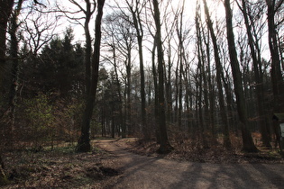 der erste Anstieg am Nordhang des Benther Berges