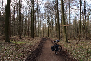 erster Sattelpunkt der Tour auf dem Benther Berg