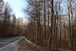 Nienstedter Pass, Ostrampe, Blick bergab …