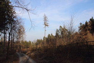 irgendwo im Anstieg zum Deisterkamm, Blick nach Nordosten …