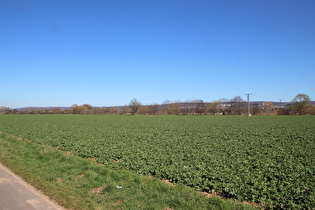 Blick nach Nordosten auf Göttingen