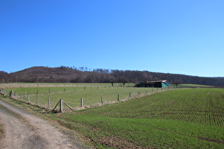 … und Blick auf die Plesse im Reinhäuser Wald