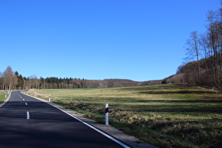 im Reinhäuser Wald, endlich raus aus dem Leinetal