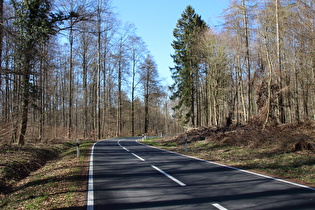 "Dach der Tour": namenloser Pass zwischen Groß Schneen und Ludolfshausen; Blick nach Westen …