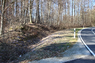 namenloser Pass zwischen Groß Schneen und Ludolfshausen, Ostrampe, Blick bergauf