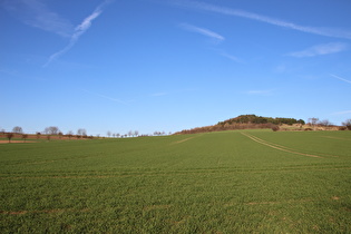 Blick entlang der Zonengrenze nach Nordosten