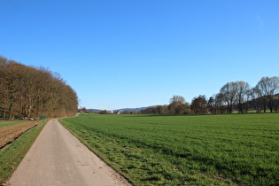 Leineradweg zwischen Reckershausen und Friedland, Blick nach Süden …