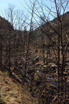 Blick über die Oker nach Süden