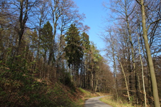 Bierweg, Blick bergab …