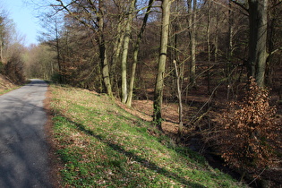 weiter oben, Blick über den Forellenbach bergab