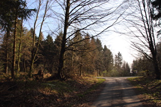 oberes Ende des Bierweges am Stern